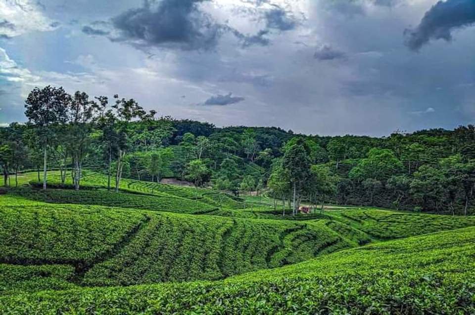 Visa Application Timeline: What to Expect